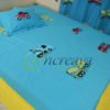 Applique Bed cover