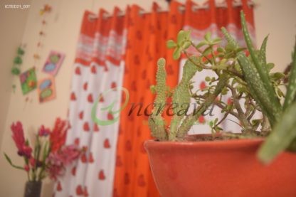 Cactus Curtai