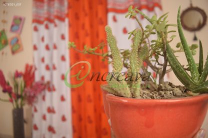 Cactus Curtai