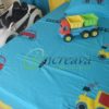 Single Blue Applique Bed cover
