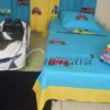 Single Blue Applique Bed cover